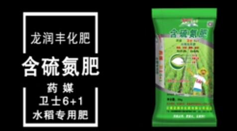龙润丰（中文）