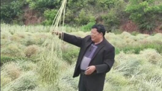 龙润丰（中文）