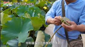 龙润丰（中文）